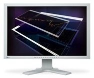 EIZO 24.1" FlexScan® Widescreen LCD, grey