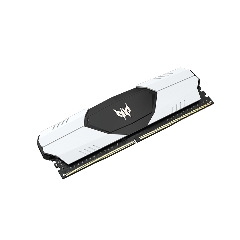 Acer Talos memory module