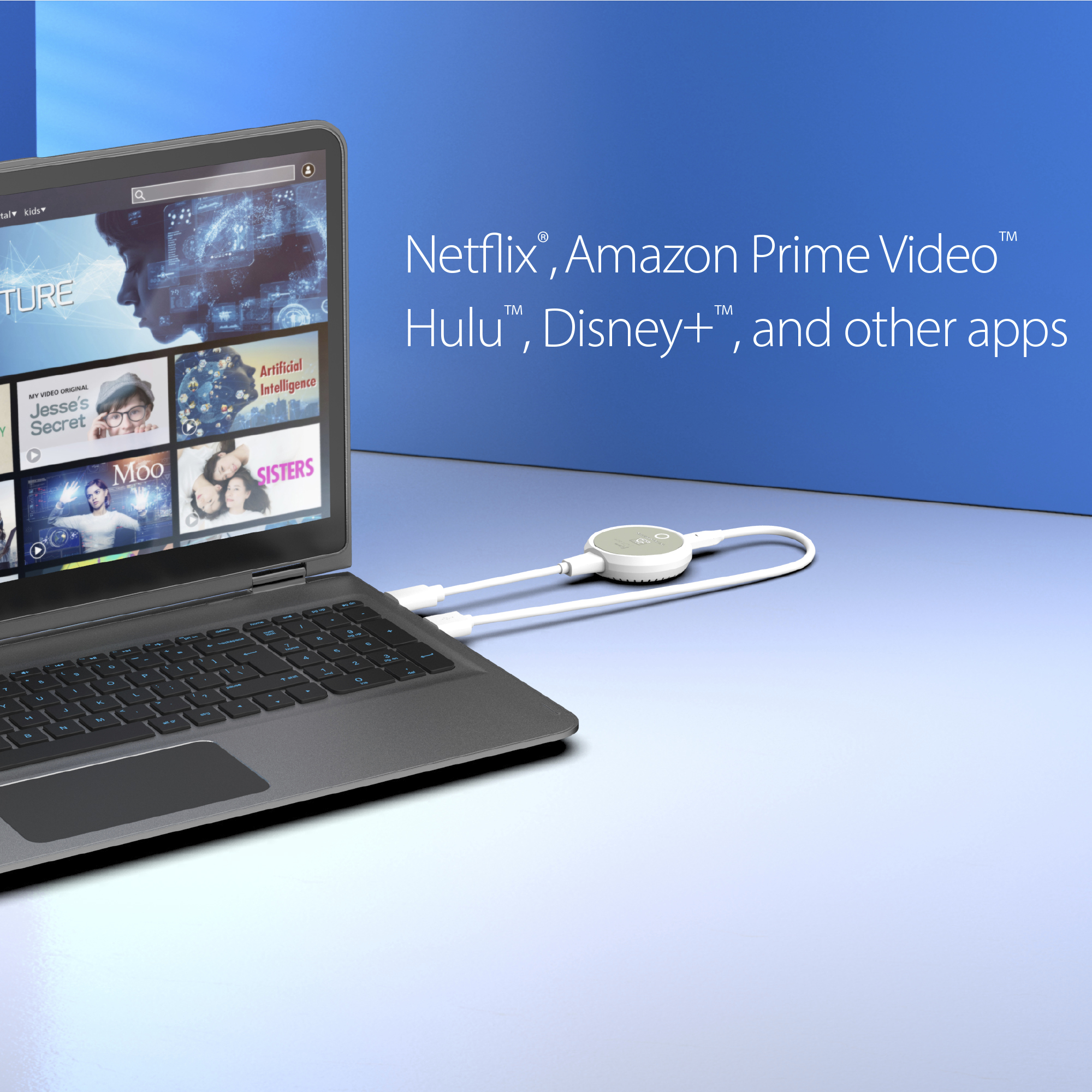Product Gallery