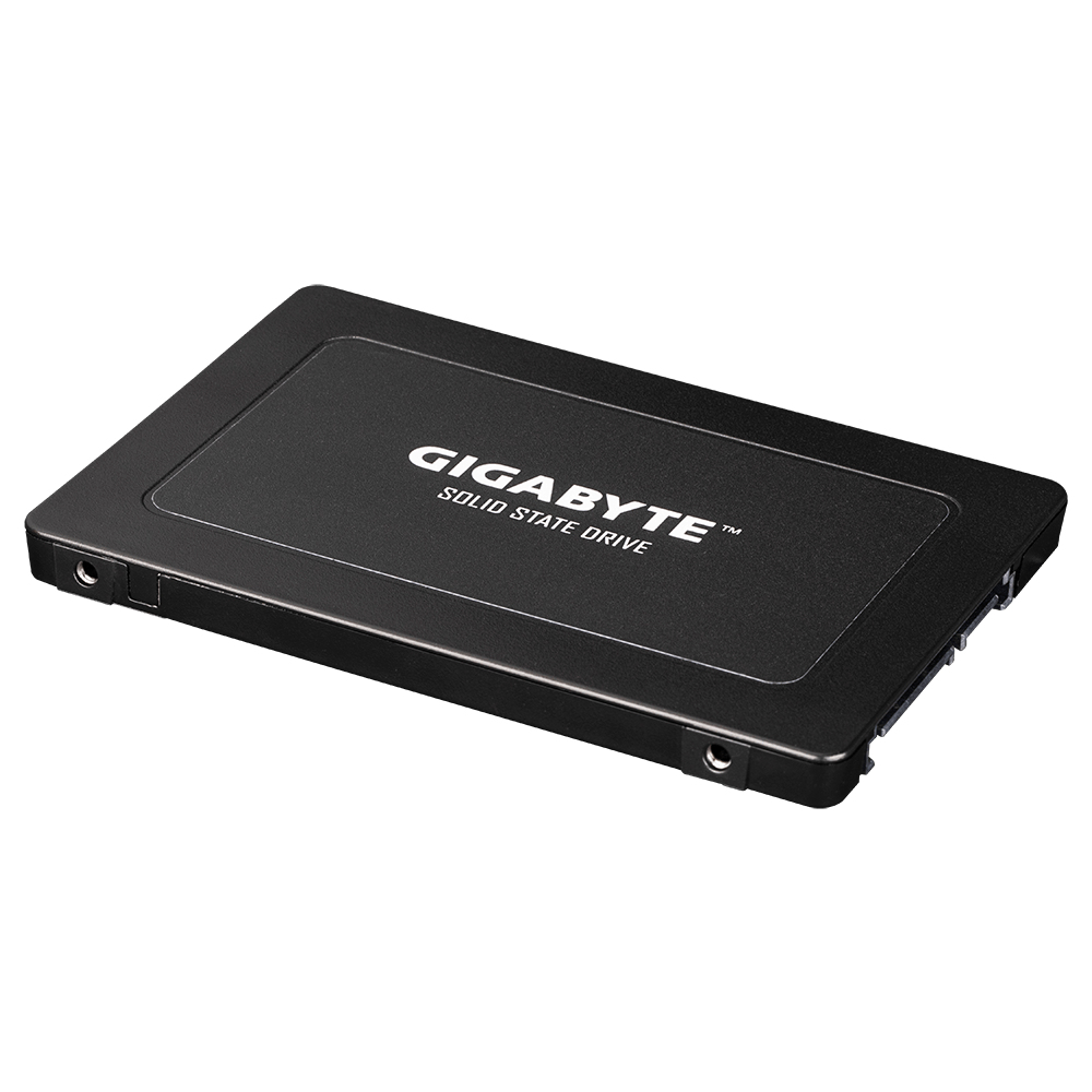 GIGABYTE GP-GSTFS31960GNTD-V internal solid state drive – image 2