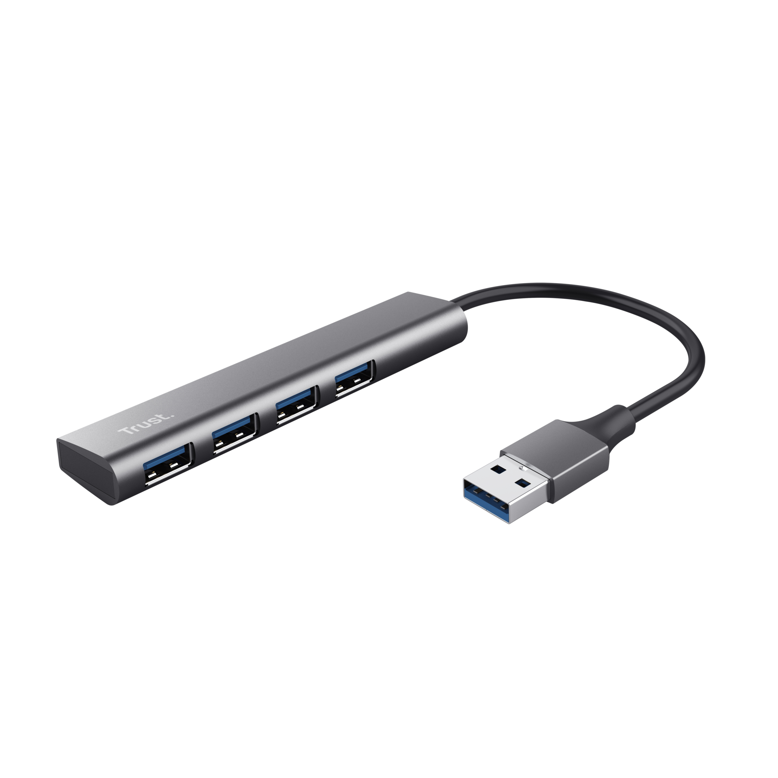 Trust Halyx USB 3.2 Gen 1 (3.1 Gen 1) Type-A 5 Mbit/s Svart, Grå