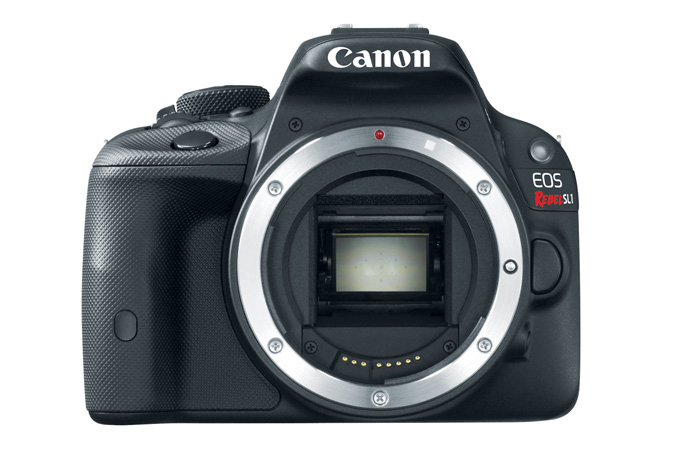 Canon SL1 + 18-55 IS STM & 55-250 IS STM – image 7