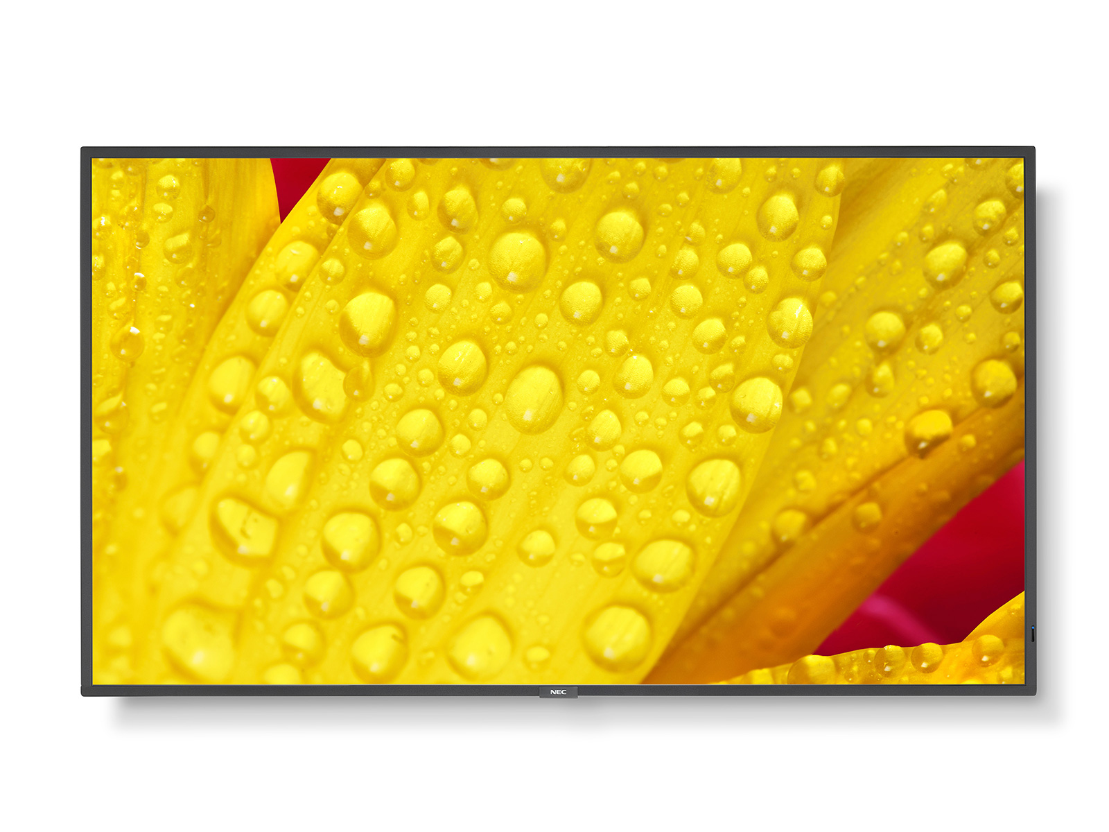 NEC MultiSync ME501 - Classe de diagonale 50" ME Series écran LCD rétro-écl...