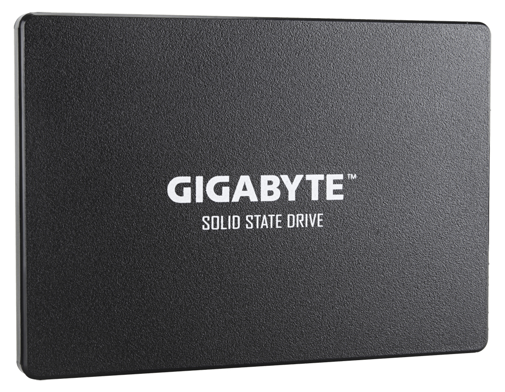 GIGABYTE GP-GSTFS31120GNTD internal solid state drive – image 2