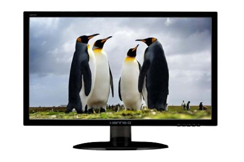Hannspree Hanns.G HE245DPB computer monitor