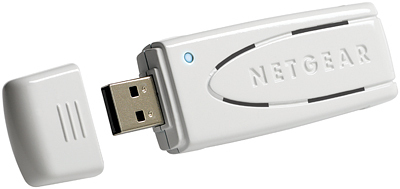 NETGEAR WN111-100ISS network card 300 Mbit/s