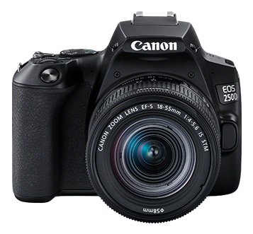 Canon 250D + EF-S 18-55mm – image 4