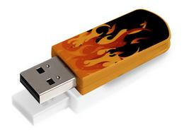 Verbatim 8GB Elements Edition - Fire – image 5