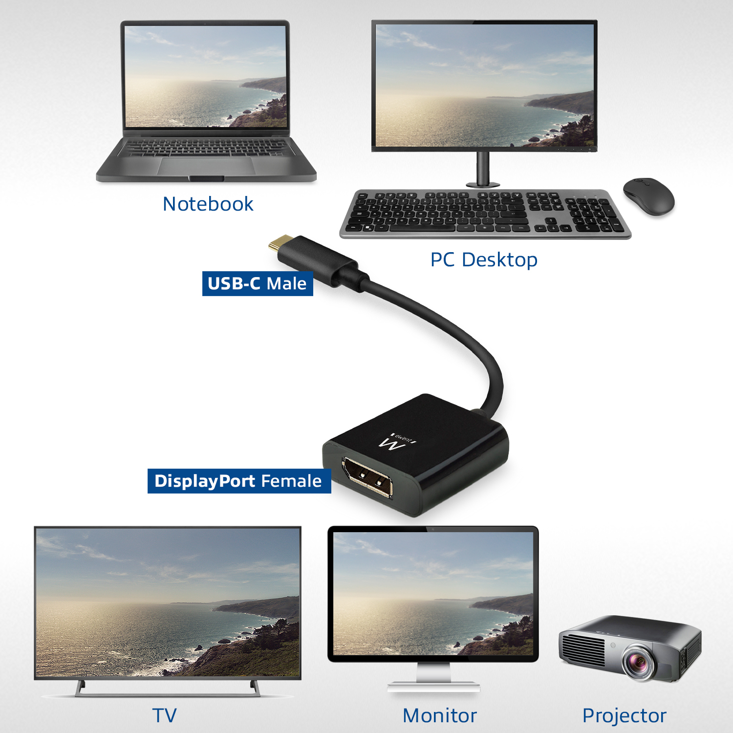 Resim Ewent EW9825 USB-C - DisplayPort Adaptör Kablosu