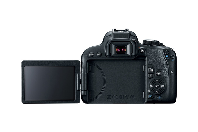 Canon EOS Rebel T7i + EF-S 18-55 IS STM – image 5