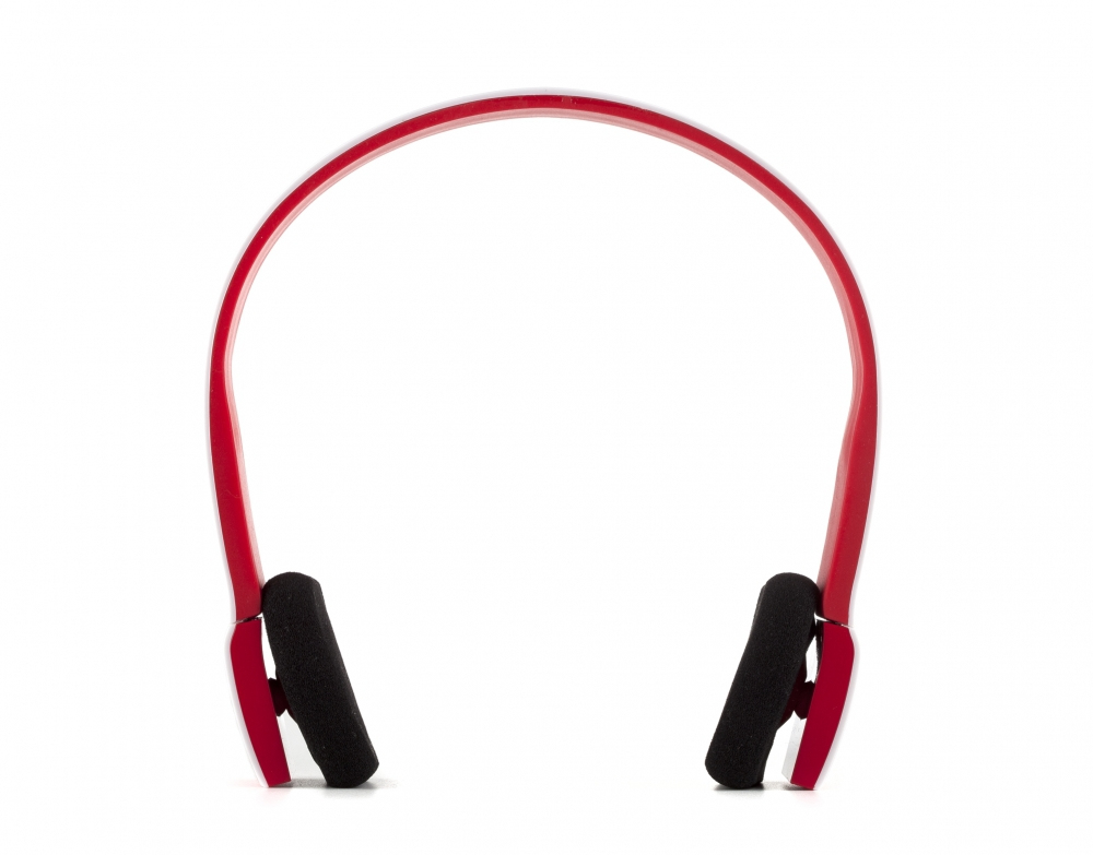 NGS Red Artica – image 3