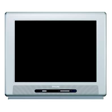 Philips 29" Real Flat TV
