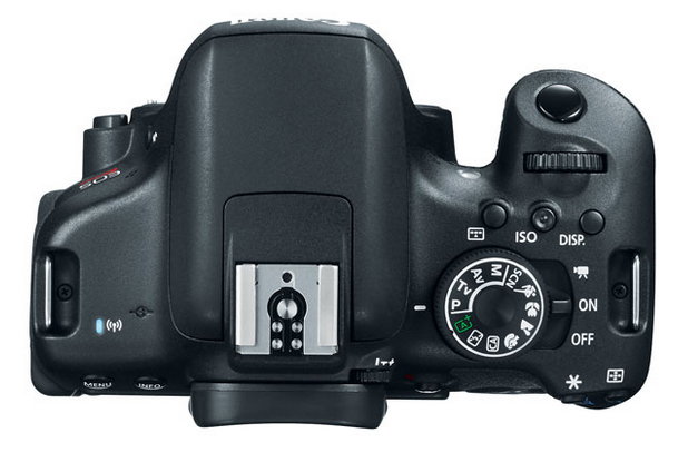 Canon Rebel T6i EF-S EF 75-300mm f/4.0-5.6 III – image 4