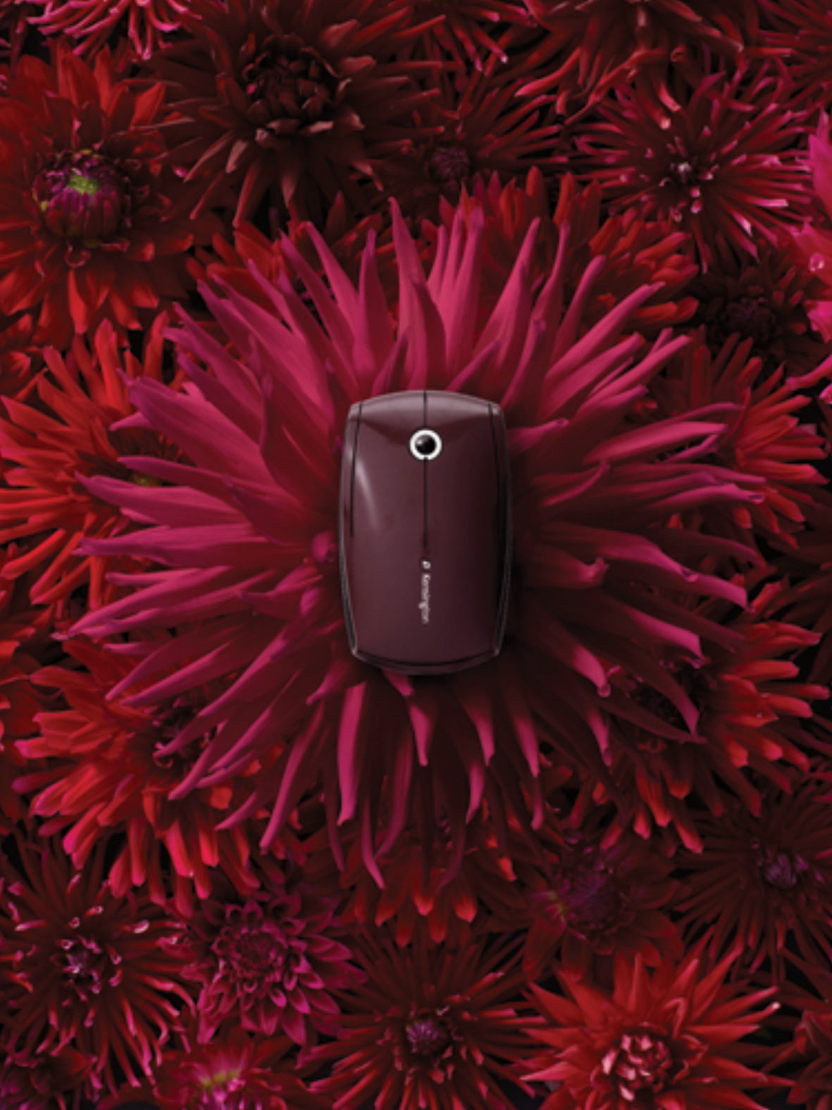 Kensington SlimBlade Media Mouse – image 7