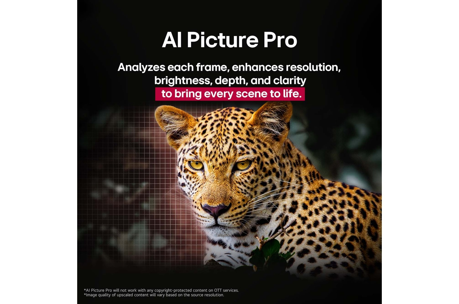 LG OLED evo AI OLED55C5ELB – image 8