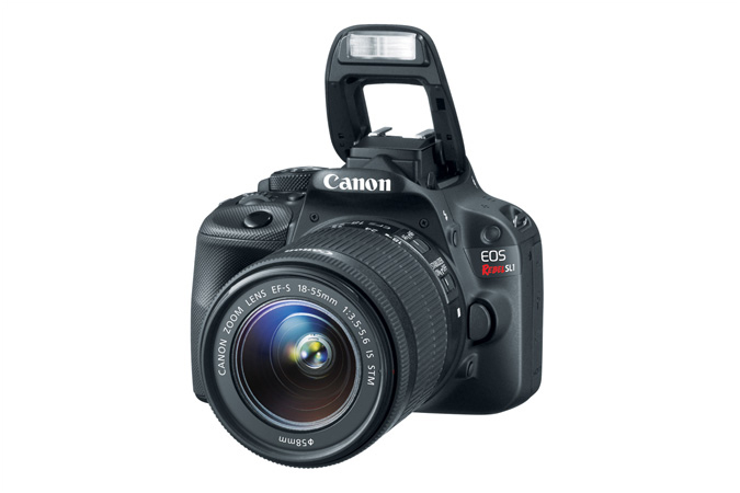 Canon SL1 + 18-55 IS STM & 55-250 IS STM – image 5