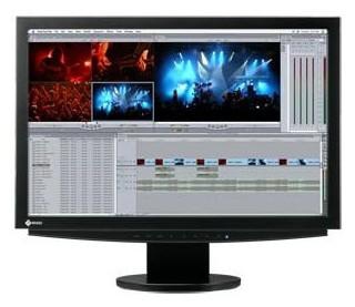 EIZO S2411W computer monitor