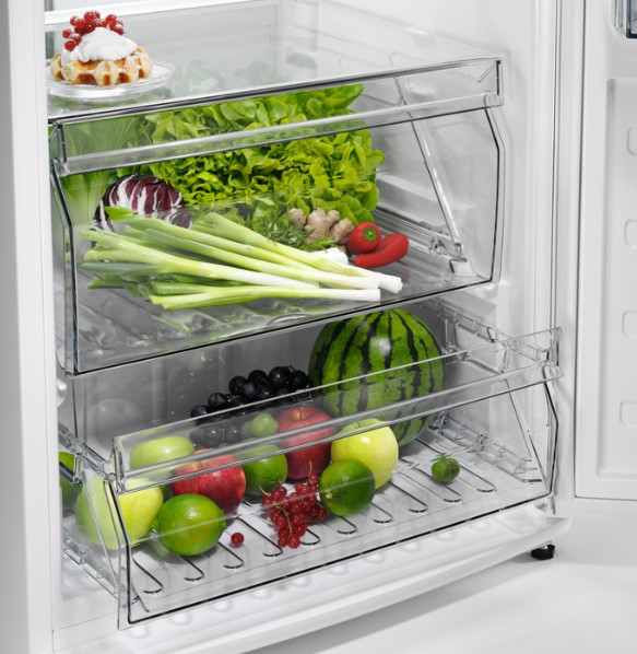 AEG Series 6000 RKB539E1DW fridge Freestanding – image 6