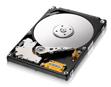 Samsung Spinpoint M HM320LI internal hard drive