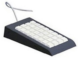 Epson 7106589 keyboard USB Grey
