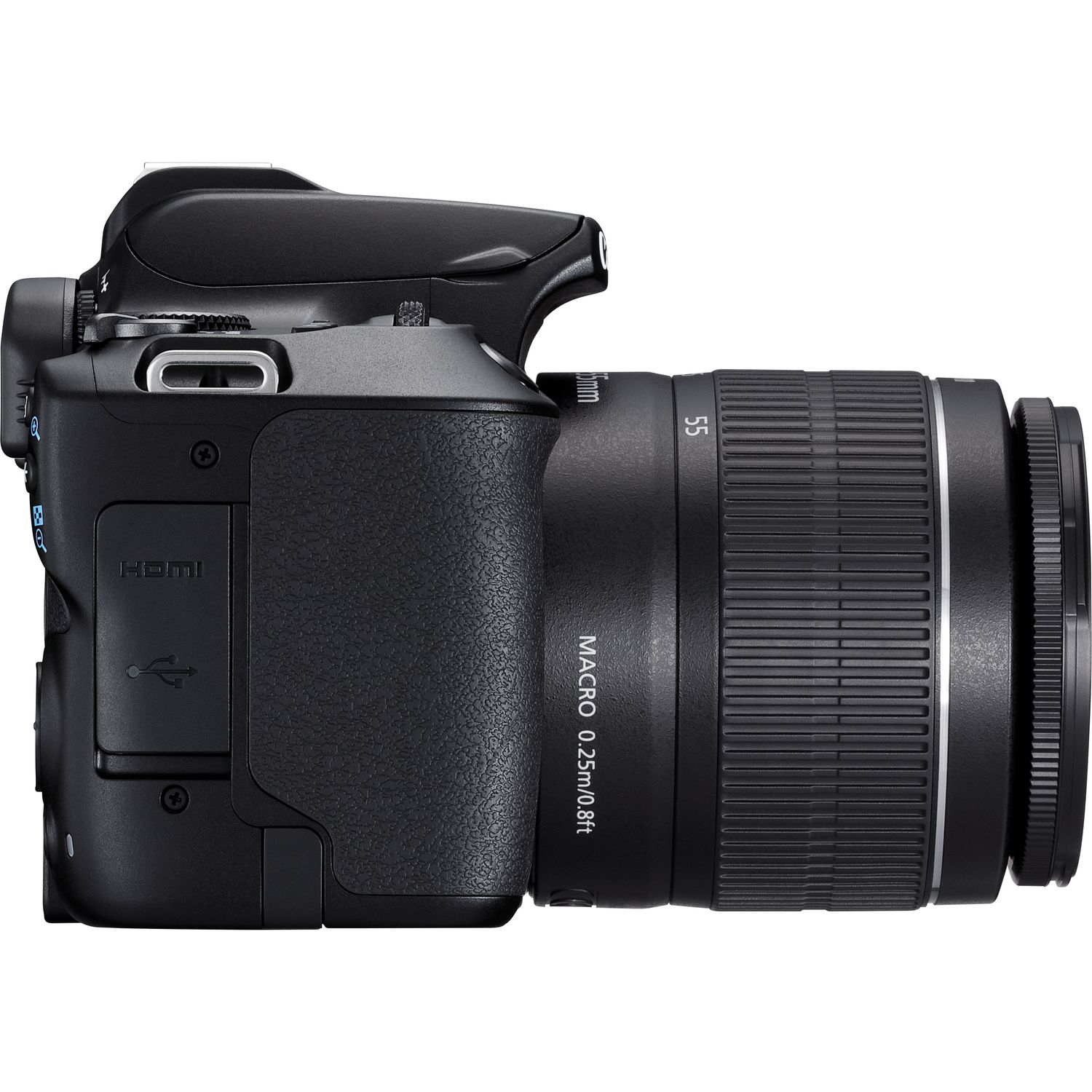 Canon 250D + EF-S 18-55mm f/3.5-5.6 III + SB130 – image 9