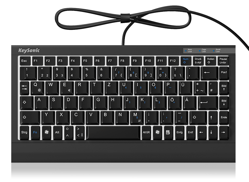 KeySonic ACK-595UEL keyboard Industrial USB + PS/2 QWERTZ German Black