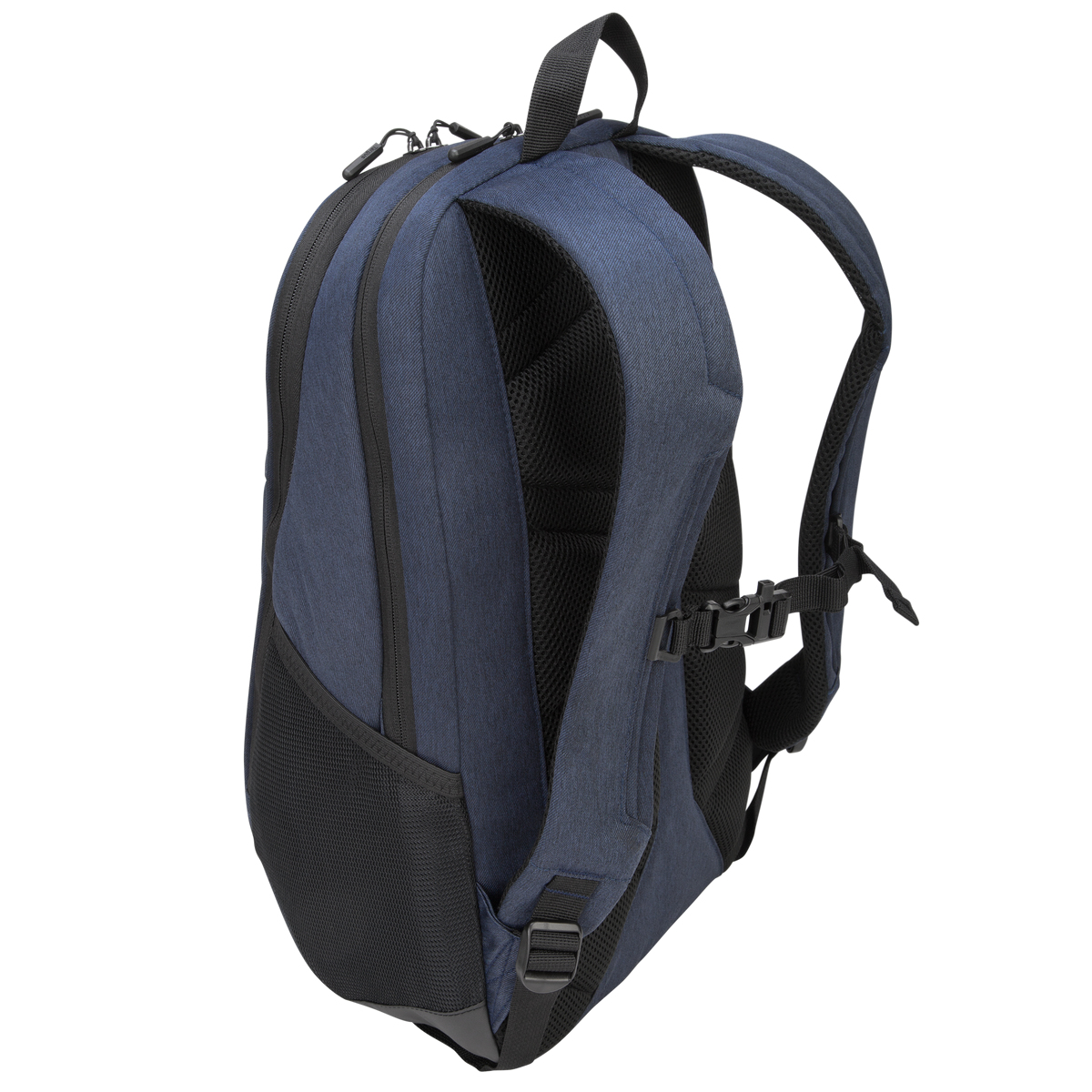Targus Urban 40.6 cm (16") Backpack case Black, Blue – image 6