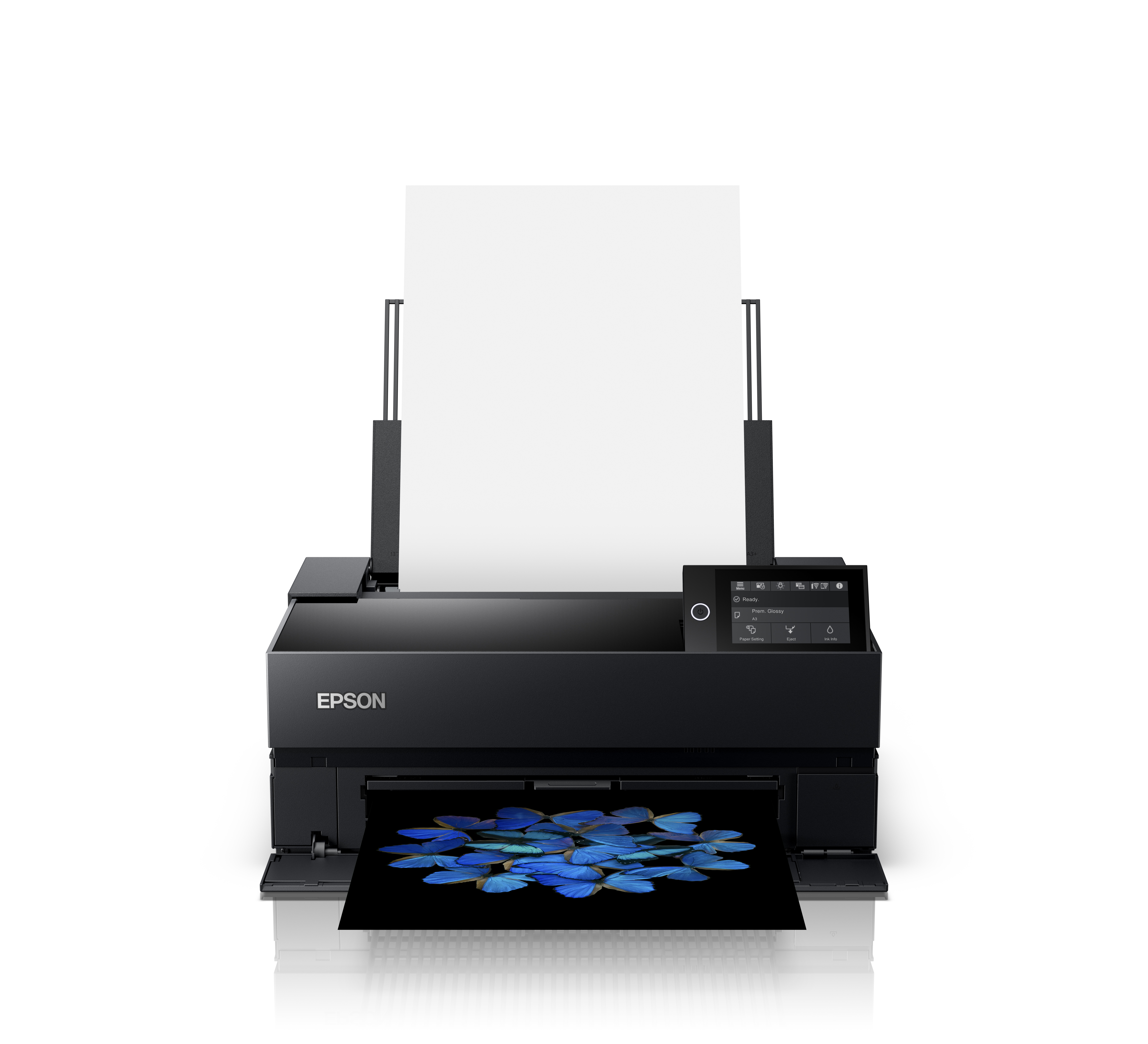 Product Gallery