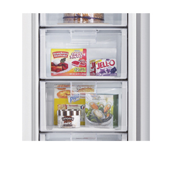 Samsung RZ60EETS fridge Freestanding – image 4