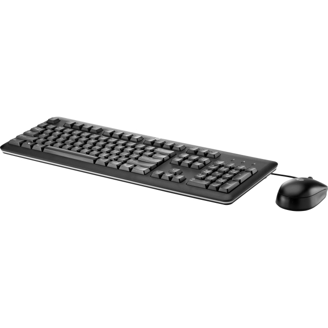 HP B1T13AT keyboard Mouse included PS/2 Black