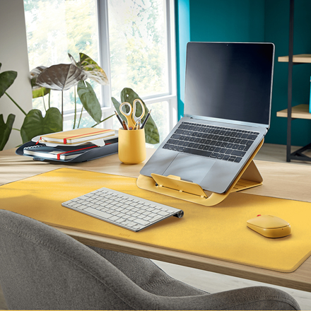 Leitz Cosy ratón Oficina Ambidextro RF Wireless + Bluetooth 4000 DPI