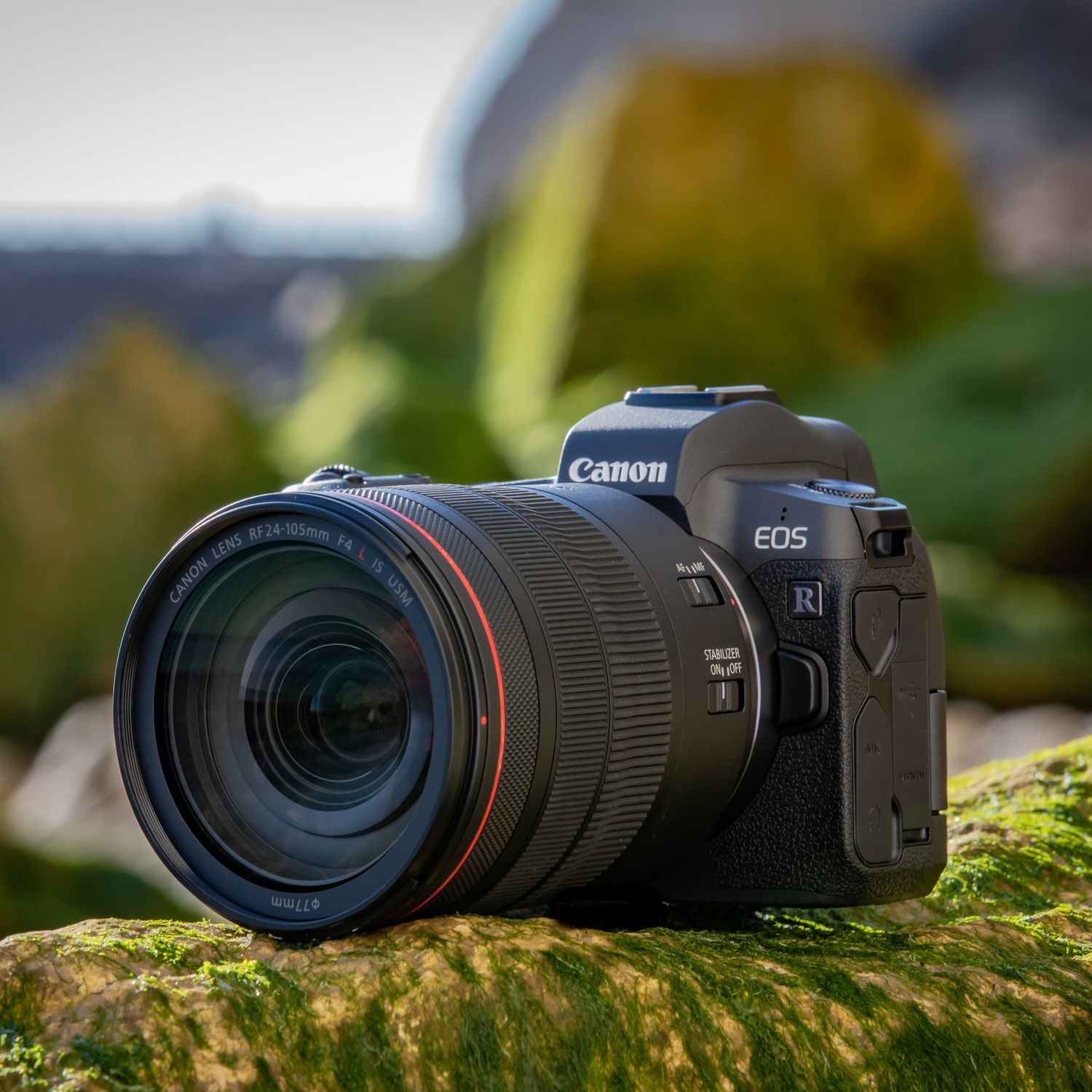 Canon EOS R + EF to RF adapter + RF 24-105mm f/4L IS USM – image 9