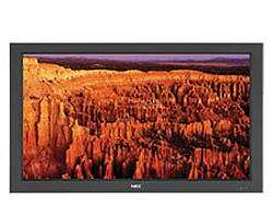 NEC AccuSync40-AVT