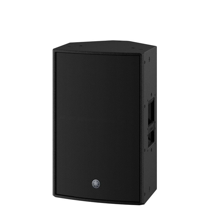 Yamaha DZR12 — vue 1 sur 6
