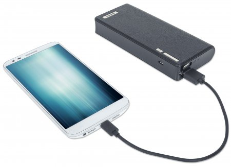 Manhattan 411103 power bank Lithium-Ion (Li-Ion) – image 2