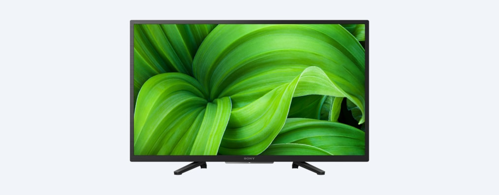Sony KD32W800P1U 
