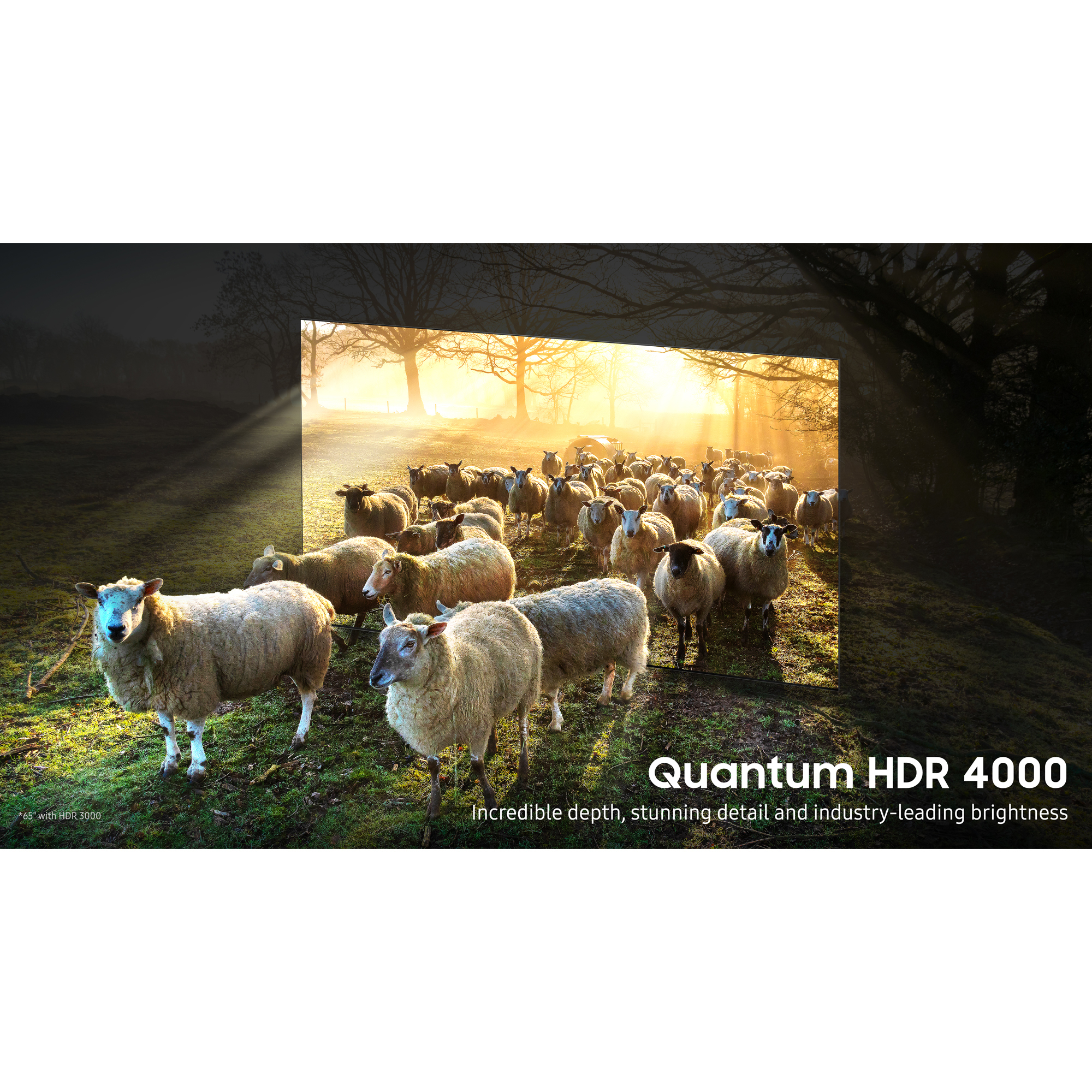 Samsung QE65QN900BTXXU TV – image 8