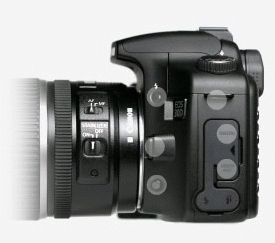 Canon EOS 40D + EF 100mm f/2.8 Macro USM + MR-14EX Macro Ring Lite – image 7