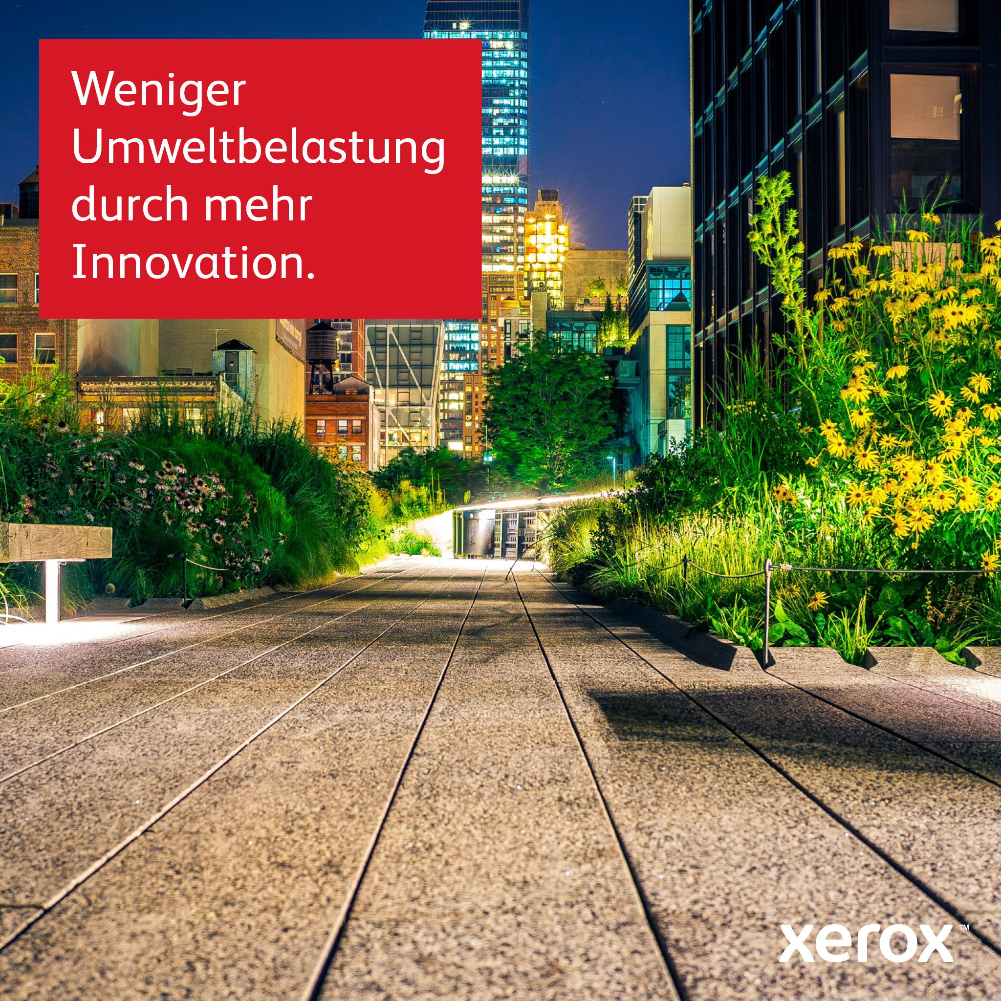 Bild 30