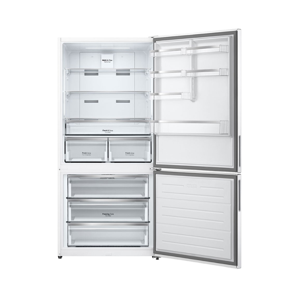 LG GTL569PQAM fridge-freezer Freestanding – image 2