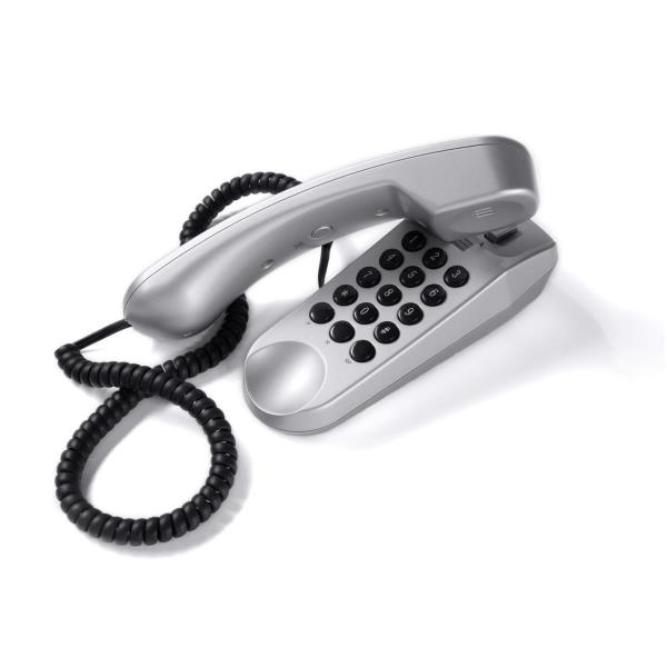 Nilox Mini DECT telephone Silver
