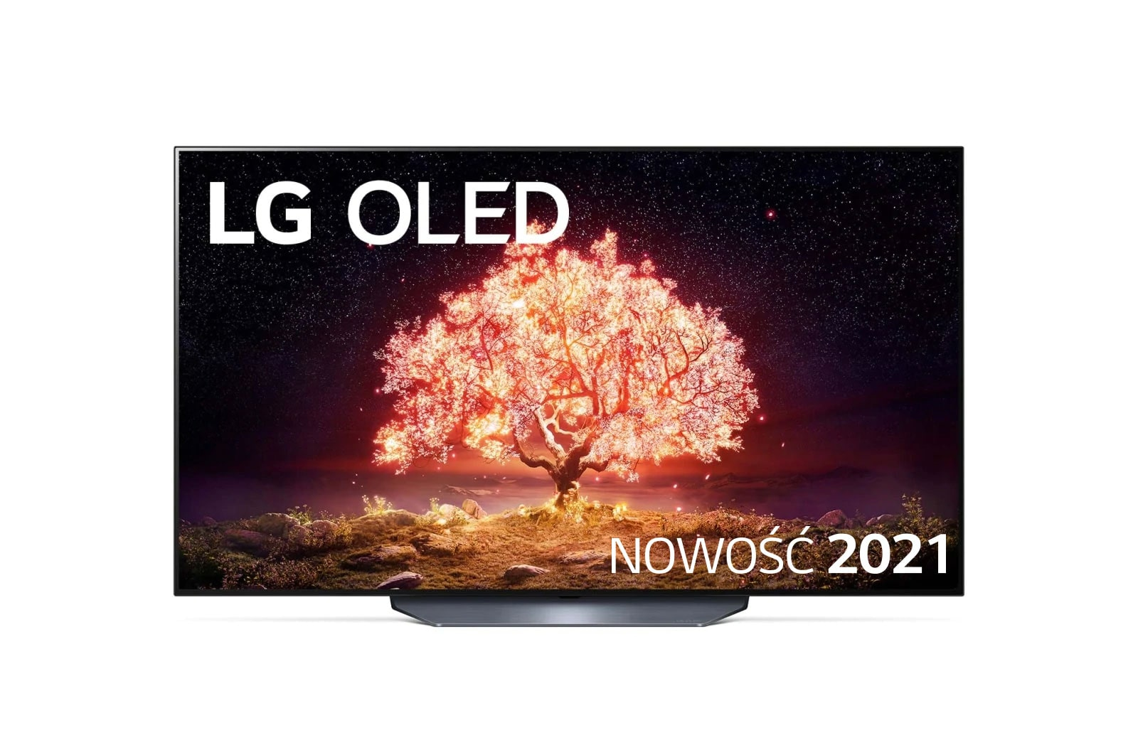 LG OLED55B13LA 
