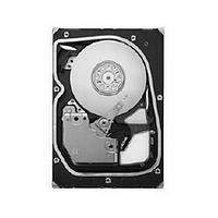 Seagate Cheetah 300GB