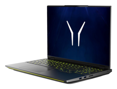 ERAZER Beast 16 X10 (MD 600093) UK Intel Core Ultra 9 290HX Plus Ноутбук 40,6 cm (16") Quad HD+ 64 GB DDR5-SDRAM 2 TB Твердотельный накопитель (SSD) NVIDIA GeForce RTX 5090 Wi-Fi 7 (802.11be) Windows 11 Home Черный