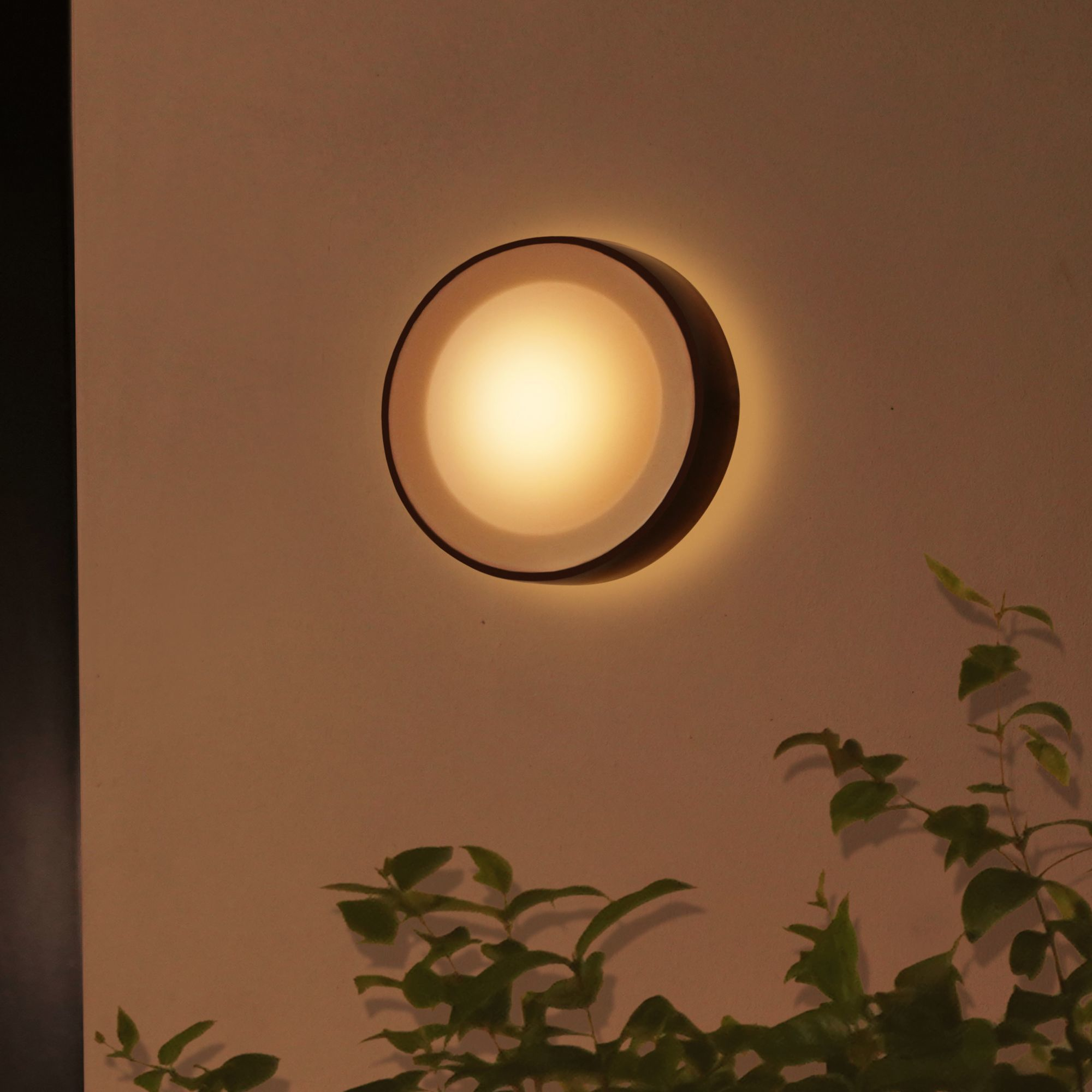 Philips by Signify Philips Hue White and colour ambience Daylo Outdoor wall light – image 6