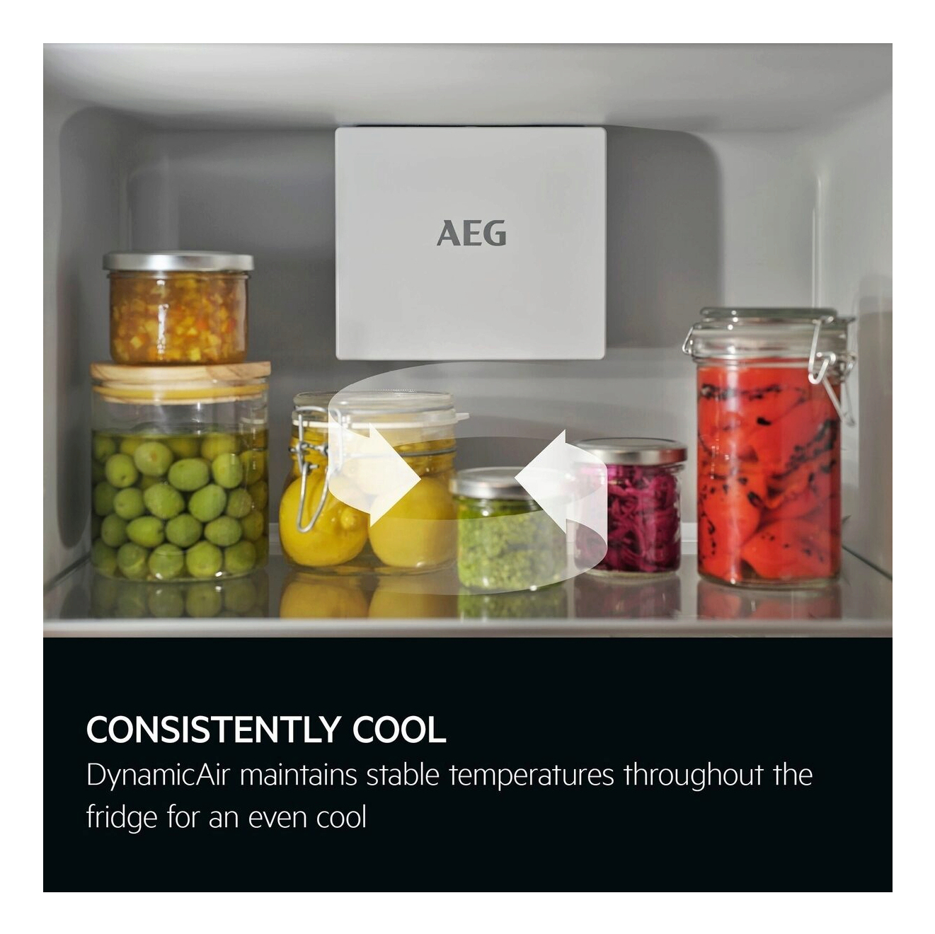 AEG Series 6000 NSK6D181EC fridge Built-in – image 4