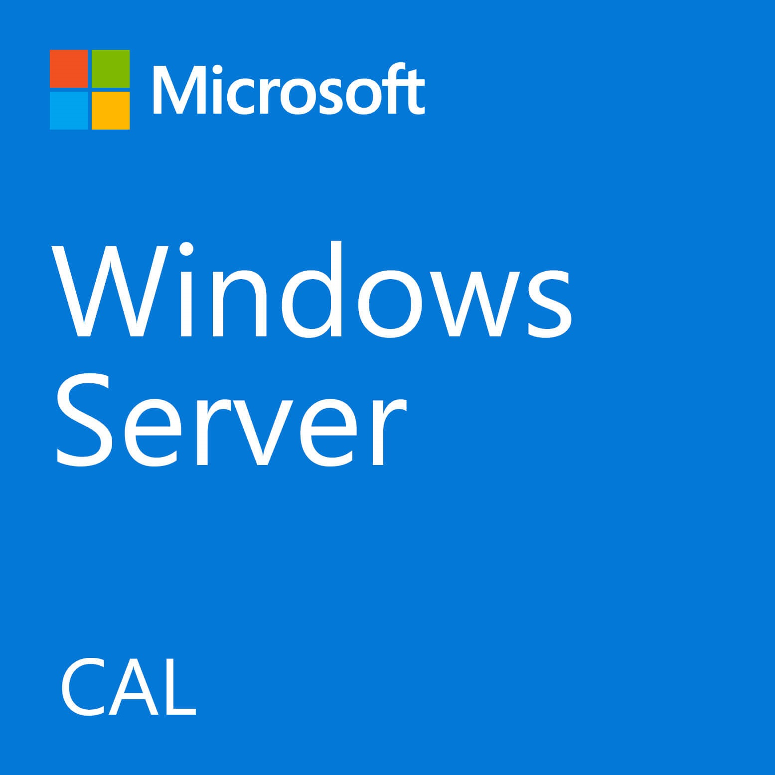 Fujitsu Windows Server 2022 CAL Klientåtkomstlicens (CAL) 1 licens/-er