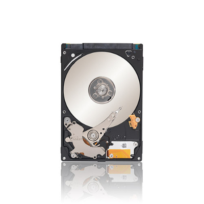 Seagate Momentus ST320LM010 internal hard drive