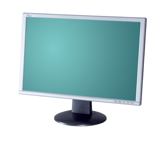 Fujitsu SCALEOVIEW L19-2W