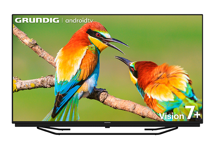 Grundig 65 GGU 7960B